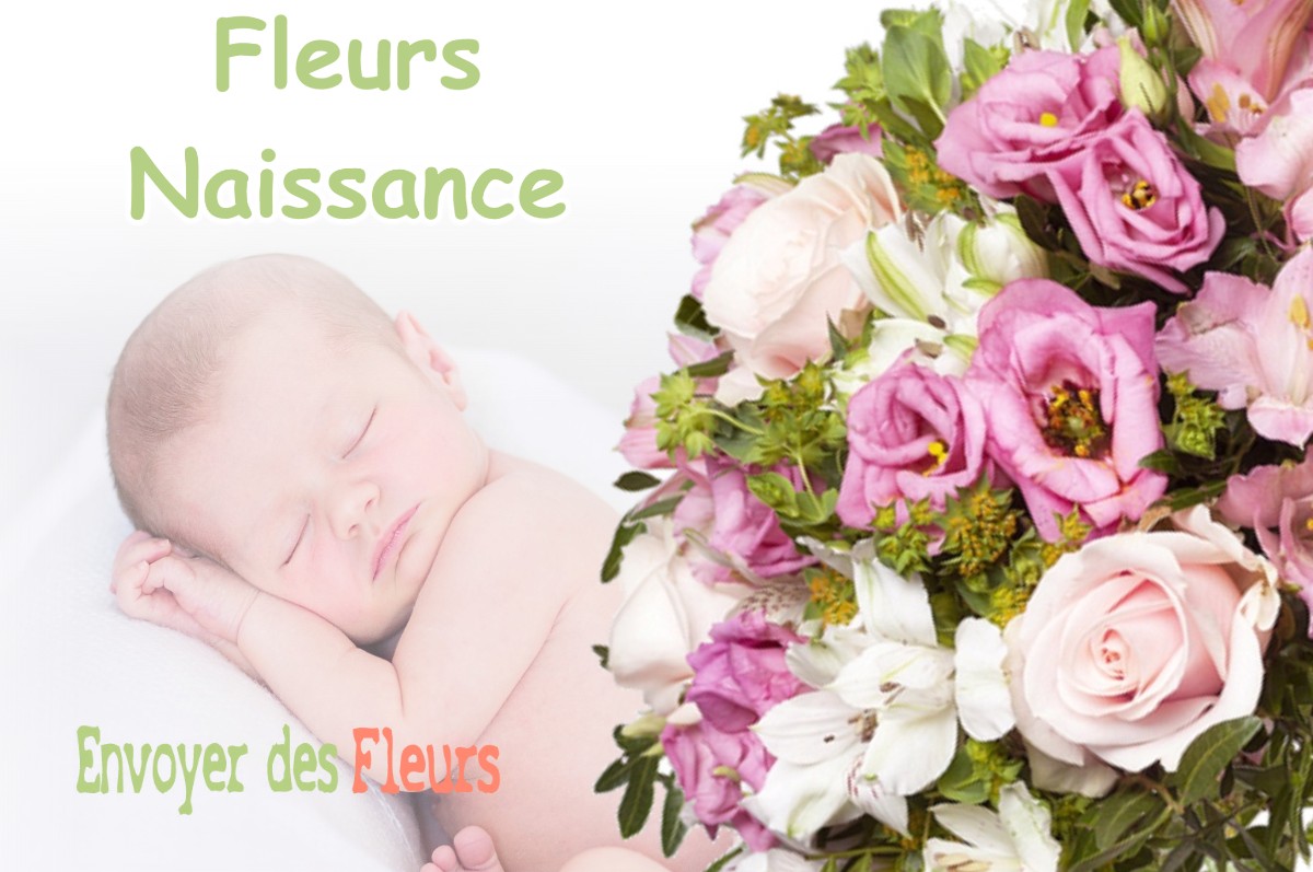 lIVRAISON FLEURS NAISSANCE à SAINTE-FOY-DE-PEYROLIERES